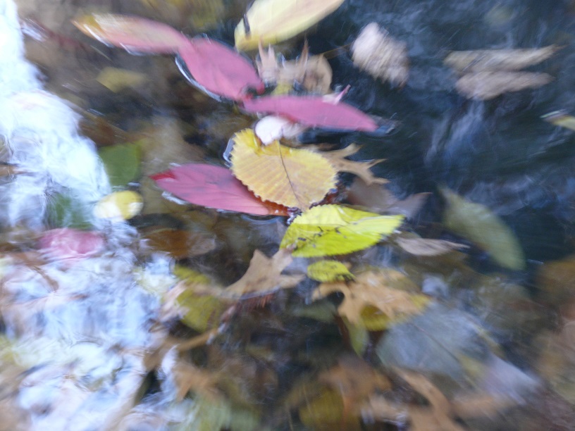 L1860241.JPG