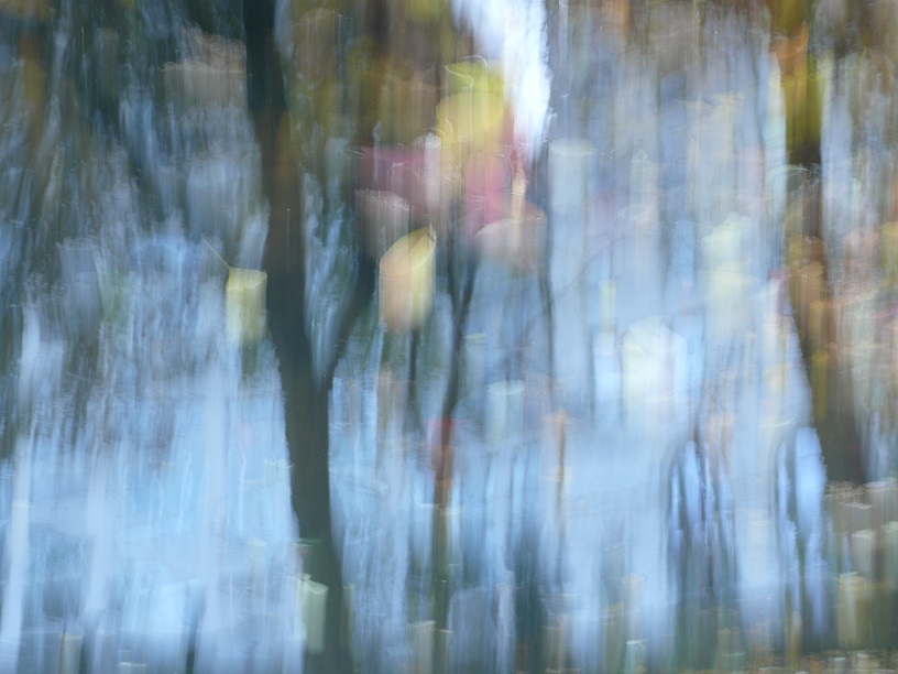 L1860260.JPG