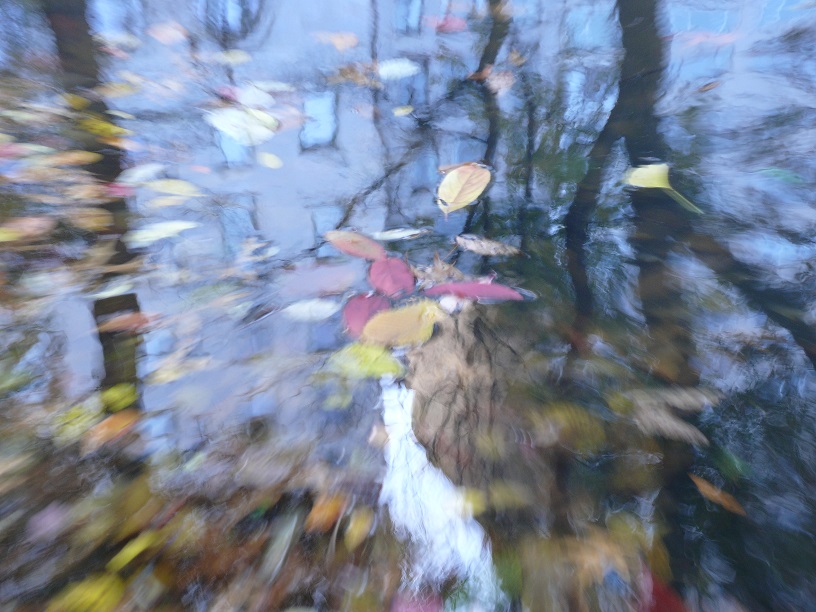 L1860263.JPG