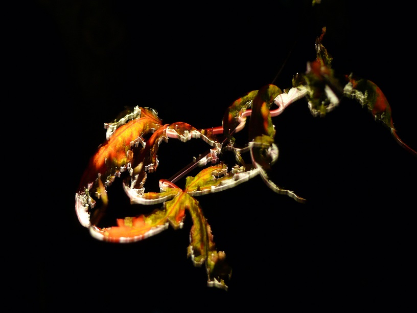L1890395.JPG