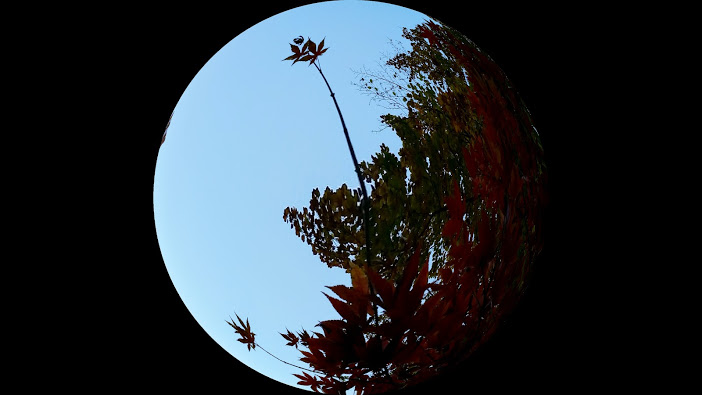 20141114_161503[2].jpg