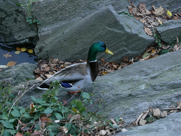 L1870473.JPG