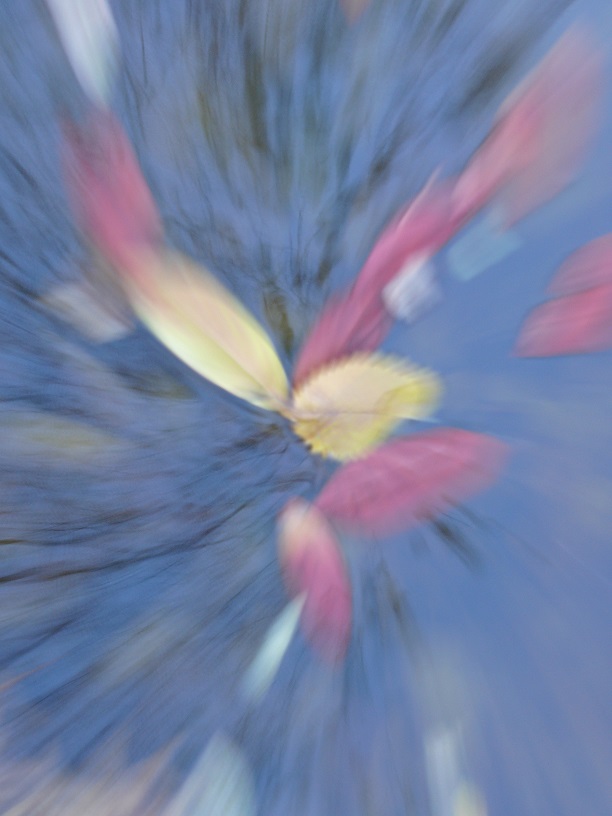 L1860114.JPG