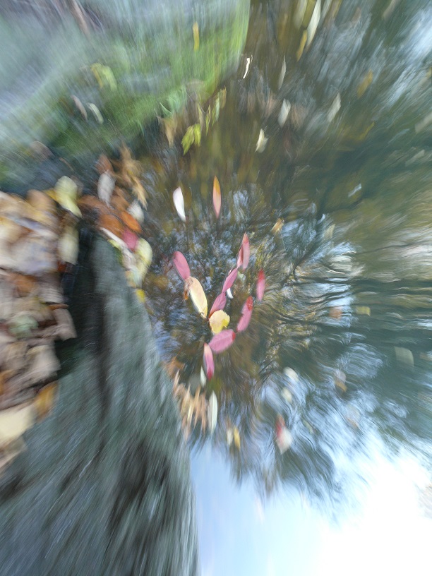 L1860120.JPG