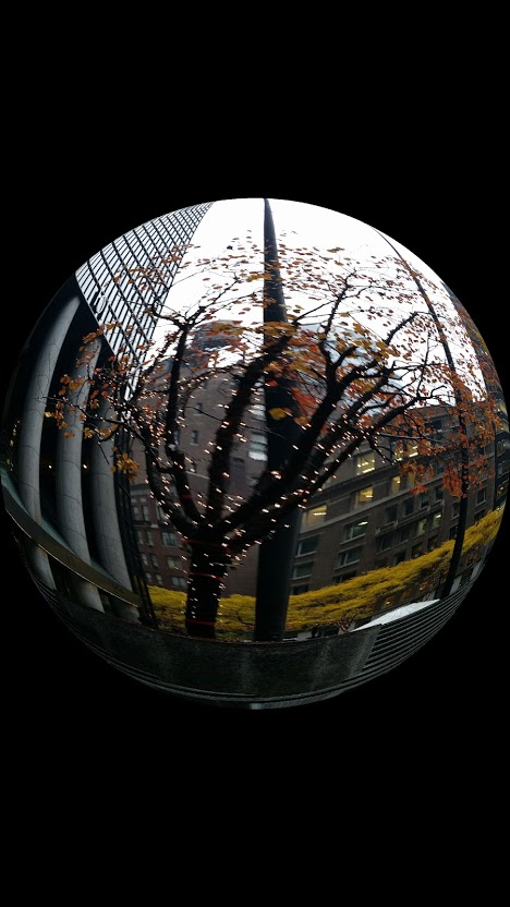 20141117_115939[1].jpg