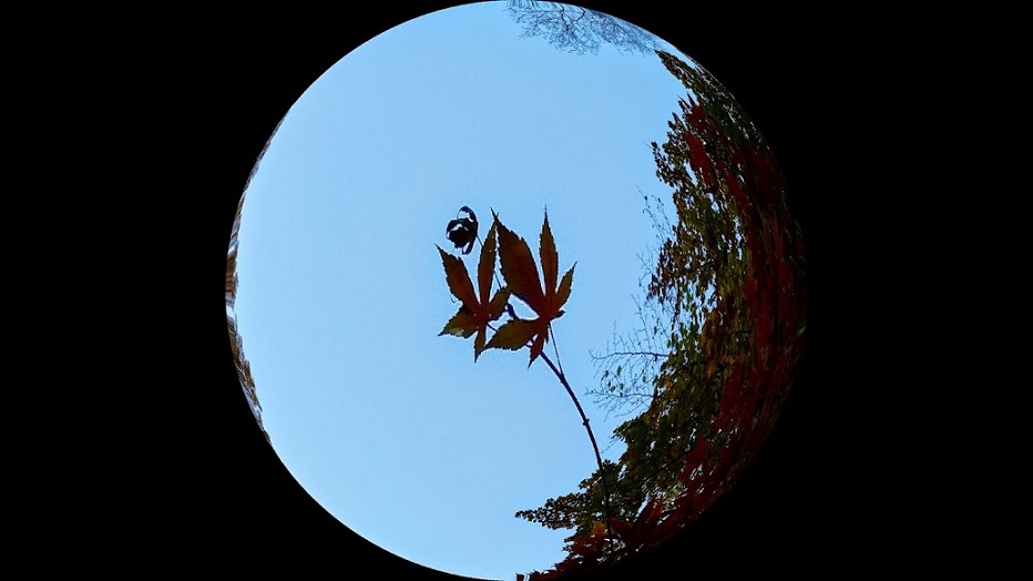 20141114_161509[3].jpg