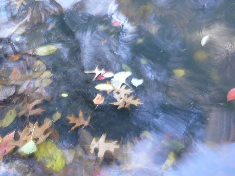 L1860062.JPG