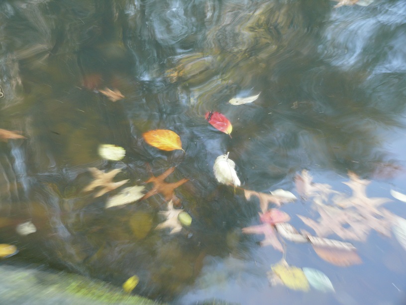 L1860287.JPG