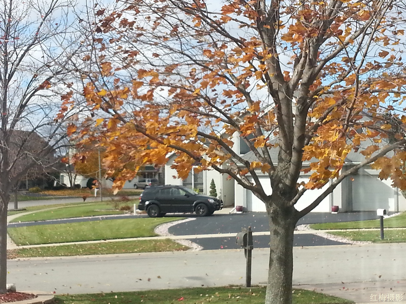 IMG_20141031_104644.jpg