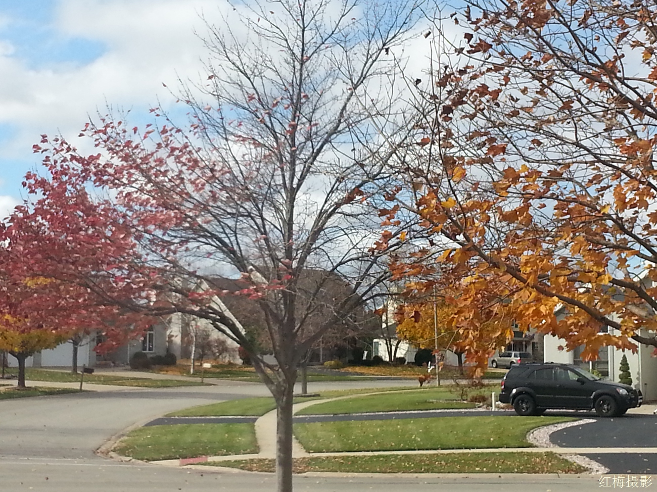 IMG_20141031_104707.jpg