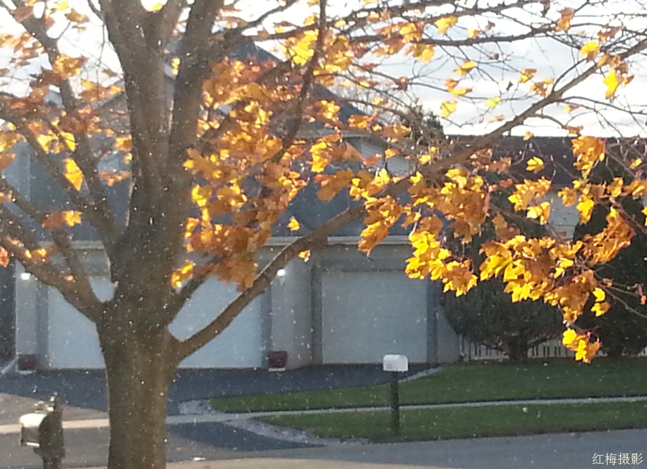 IMG_20141031_165506.jpg