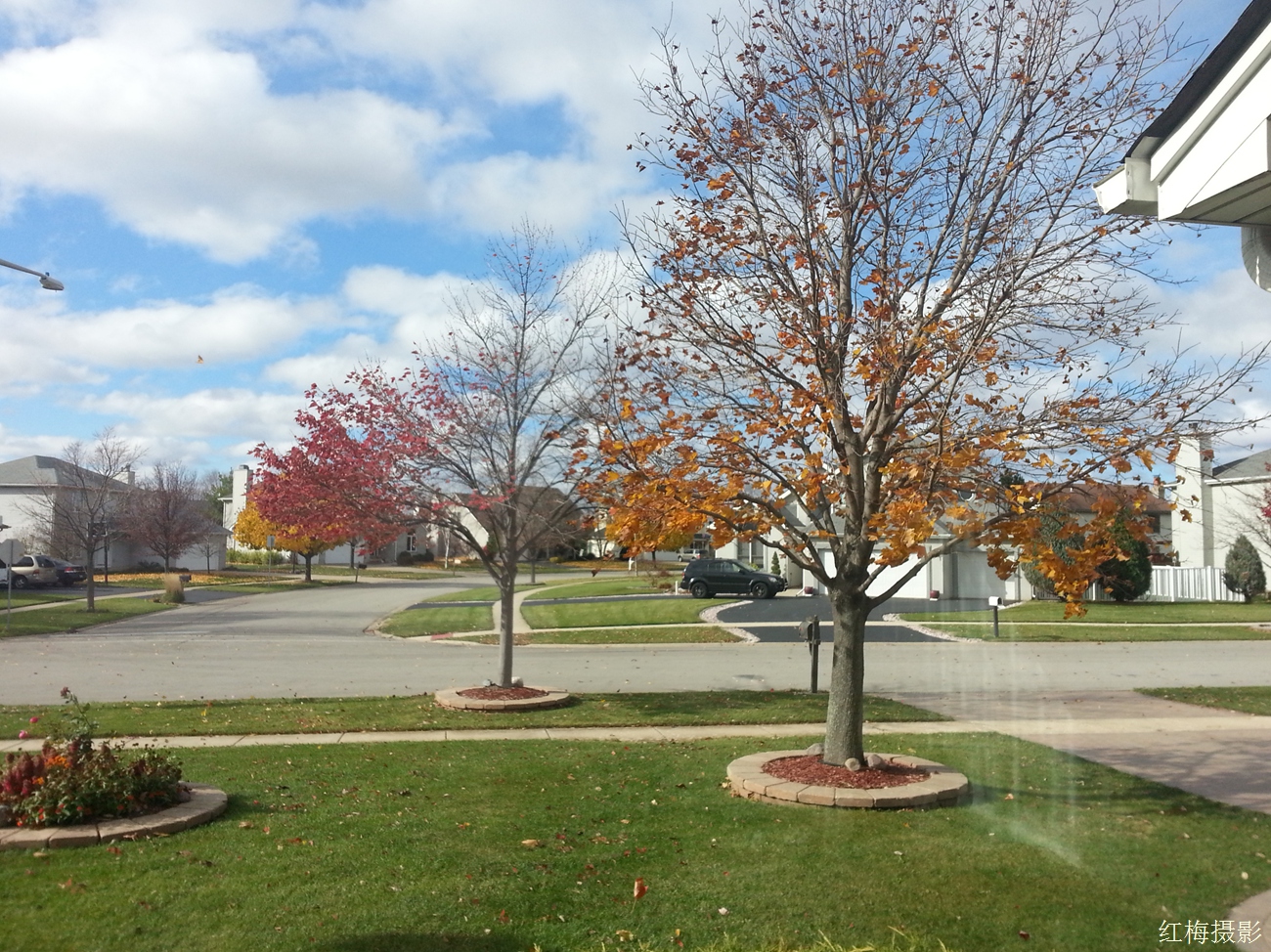 IMG_20141031_104357.jpg
