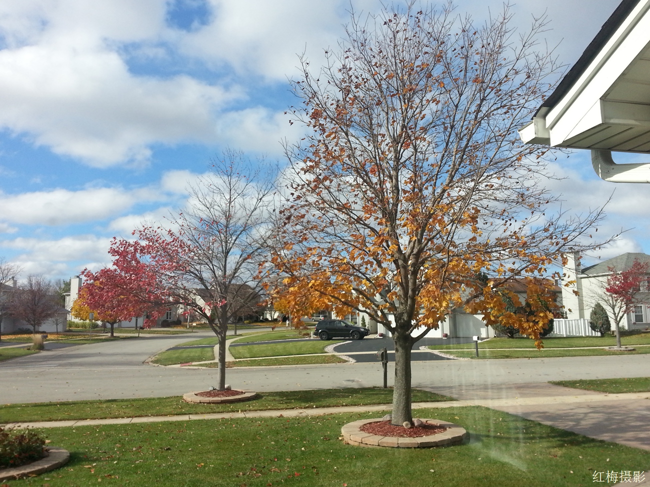 IMG_20141031_104345.jpg