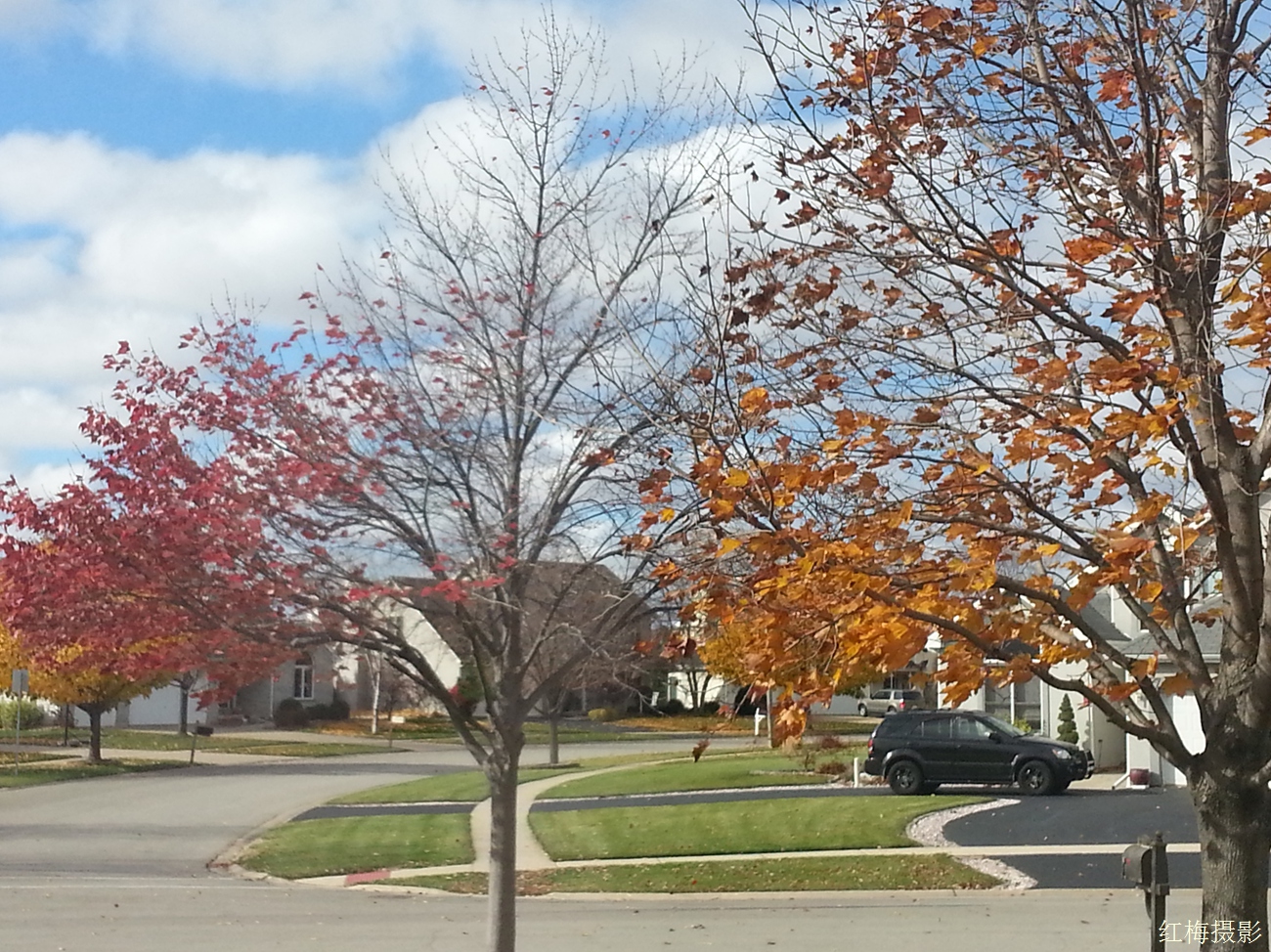 IMG_20141031_104423.jpg