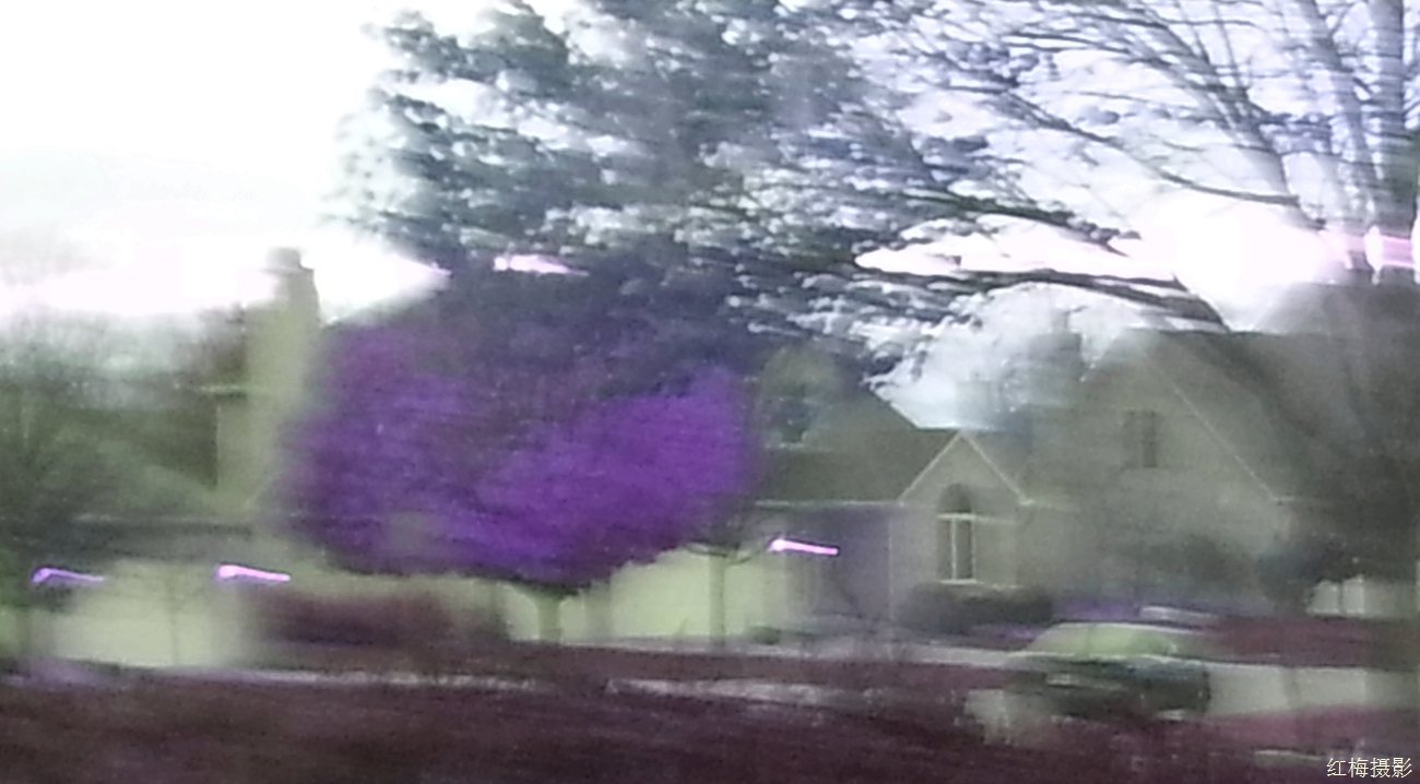 IMG_20141031_174857.jpg