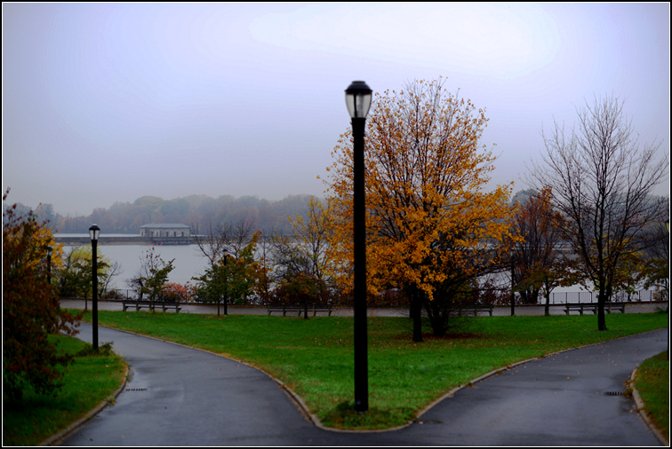DSC_9310.jpg
