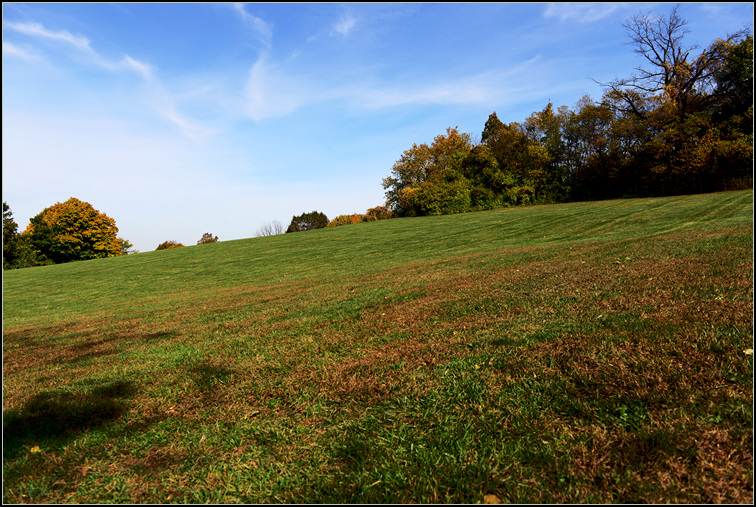 DSC_8865.jpg