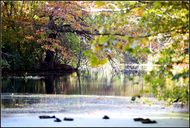 DSC_8046.jpg