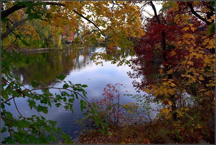 DSC_9262.jpg