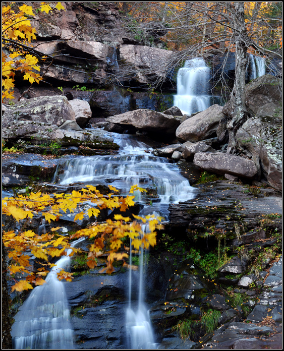 DSC_7605.jpg