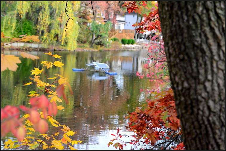 DSC_9266.jpg