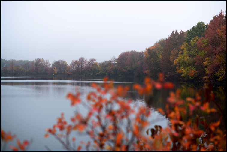 DSC_9312.jpg
