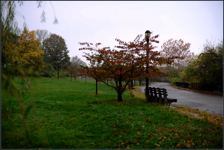 DSC_9329.jpg