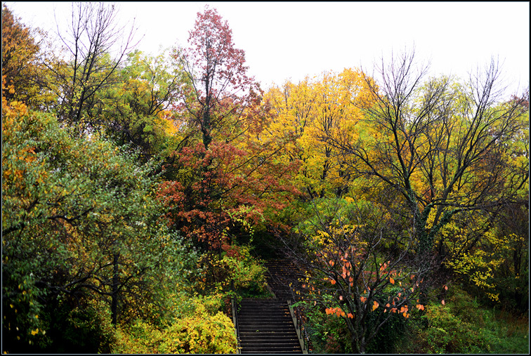 DSC_9314.jpg