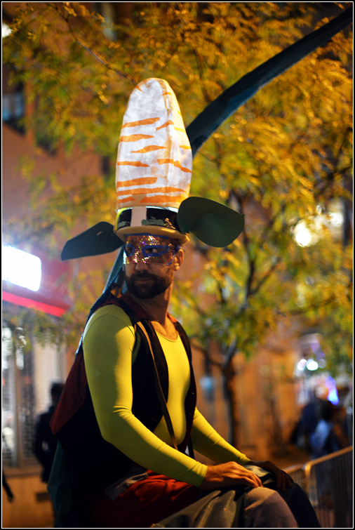 DSC_8479.jpg