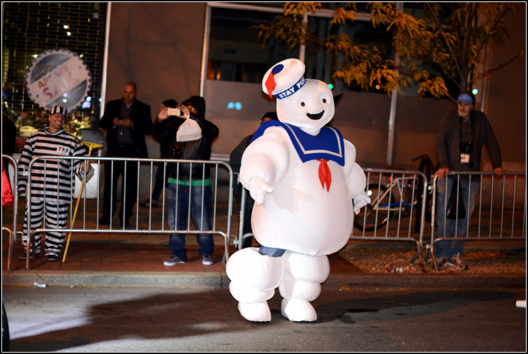 DSC_8584.jpg