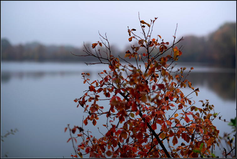 DSC_9316.jpg
