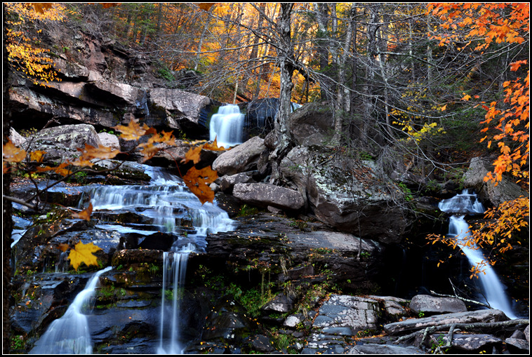 DSC_7606.jpg