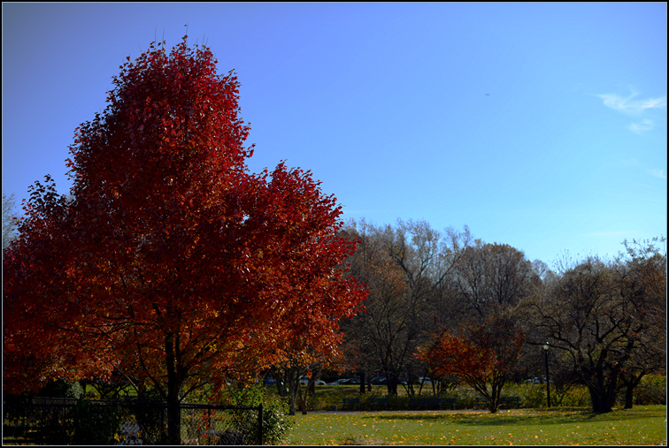 DSC_0490.jpg