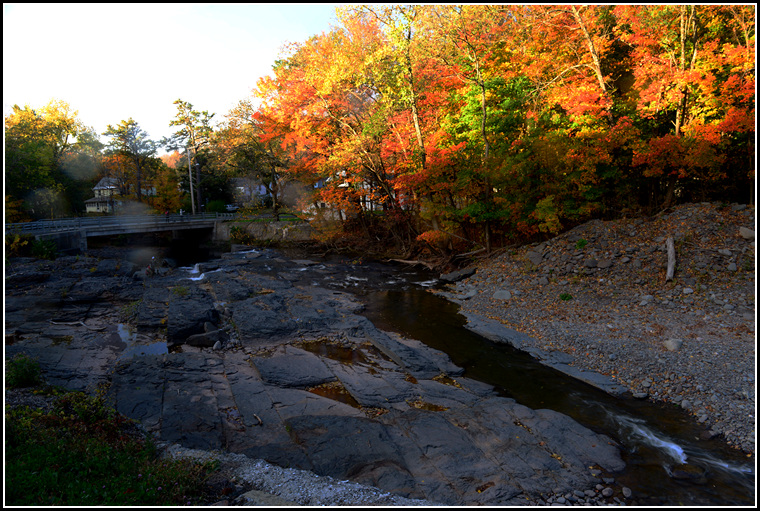 DSC_7523.jpg