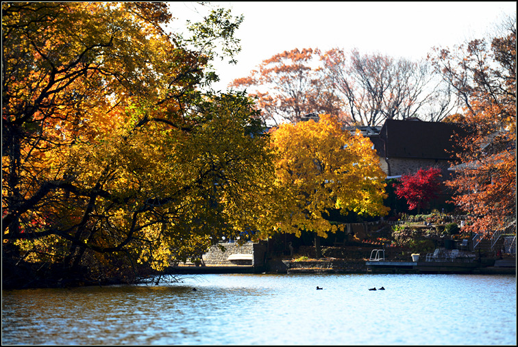 DSC_0347.jpg