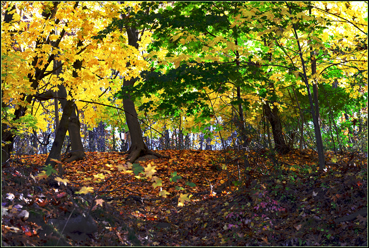 DSC_0186.jpg