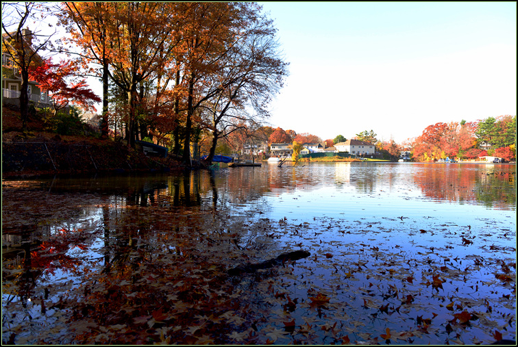 DSC_0184.jpg
