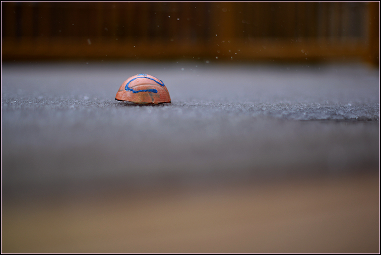 DSC_1712.jpg