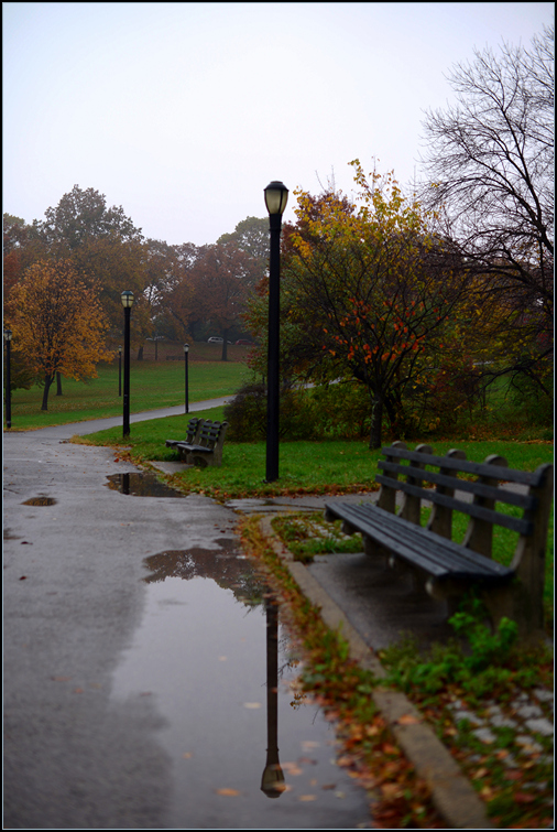 DSC_9327.jpg