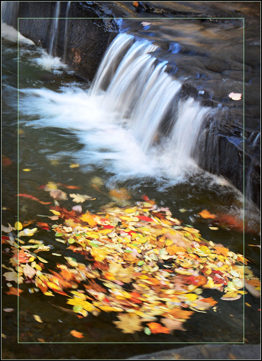 DSC_7497.jpg