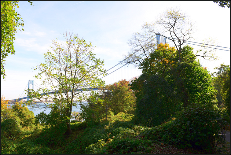 DSC_8892.jpg