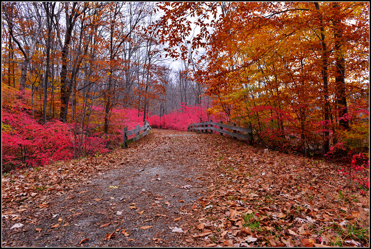 DSC_4985.jpg