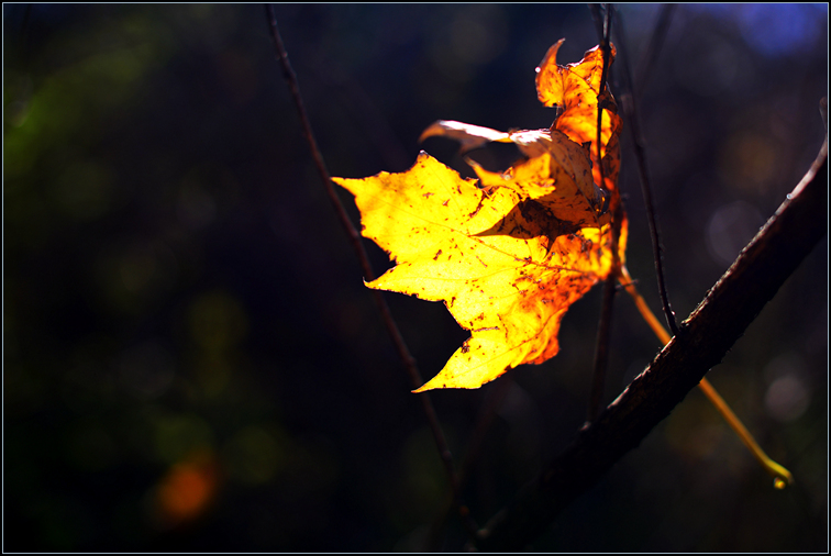 DSC_0472.jpg