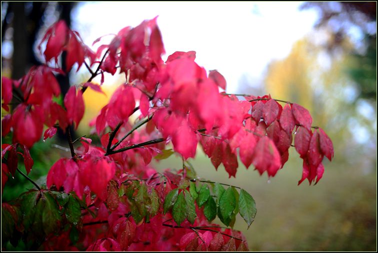 DSC_9379.jpg