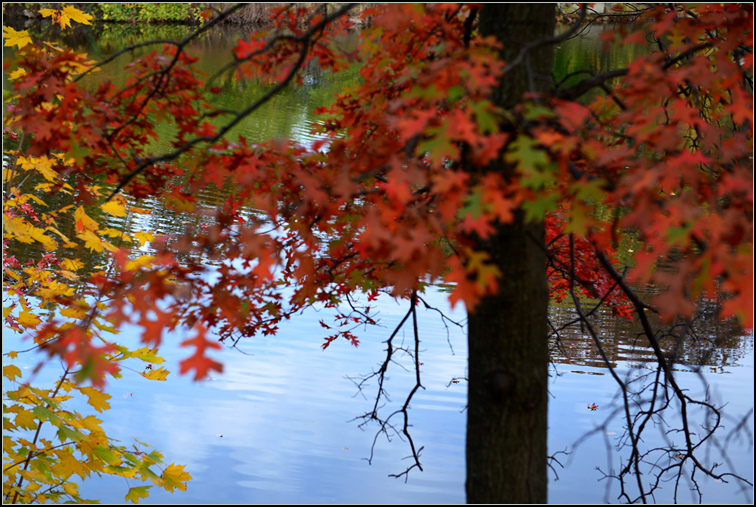 DSC_9267.jpg