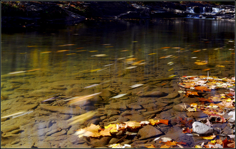 DSC_7712.jpg