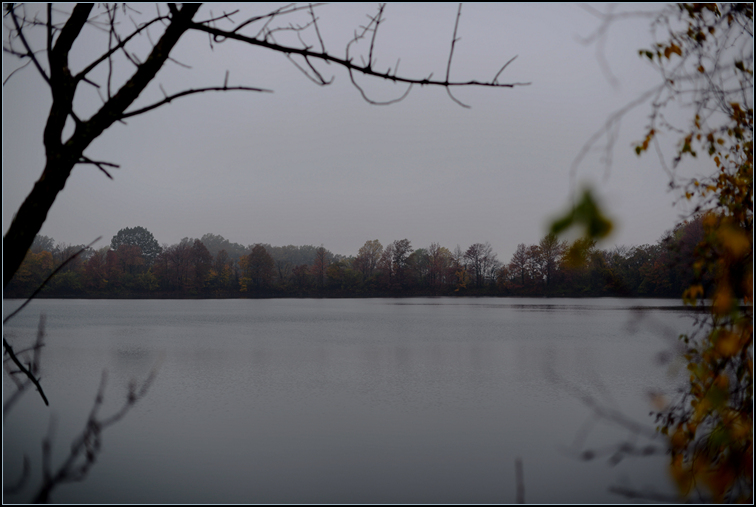 DSC_9326.jpg