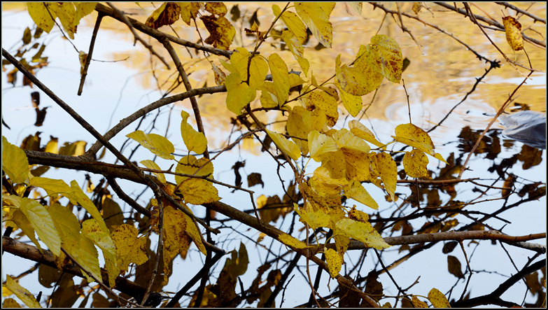 DSC_9677.jpg