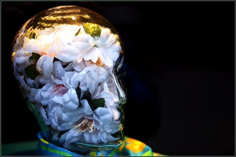 DSC_7923.jpg