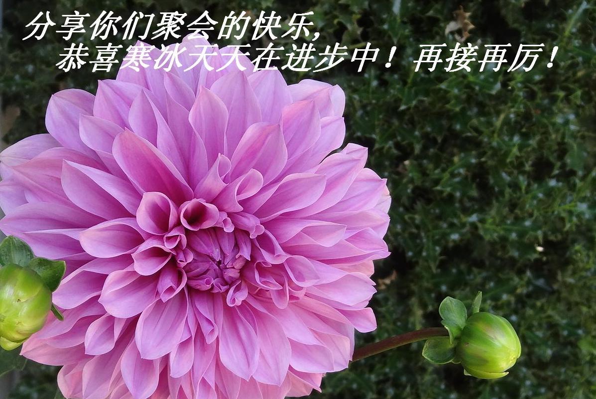 ǾۻĿ,ϲڽУٽ.JPG
